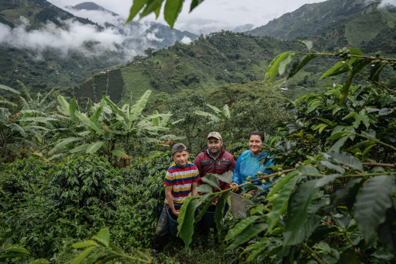 Kampagne: Fairtrade-mærket tager hensyn til både mennesker og miljø
