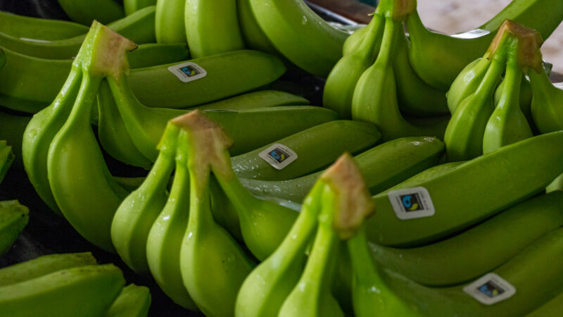 I kamp for danskernes yndlingsfrugt: Danske butikker i fælles front for bananen 