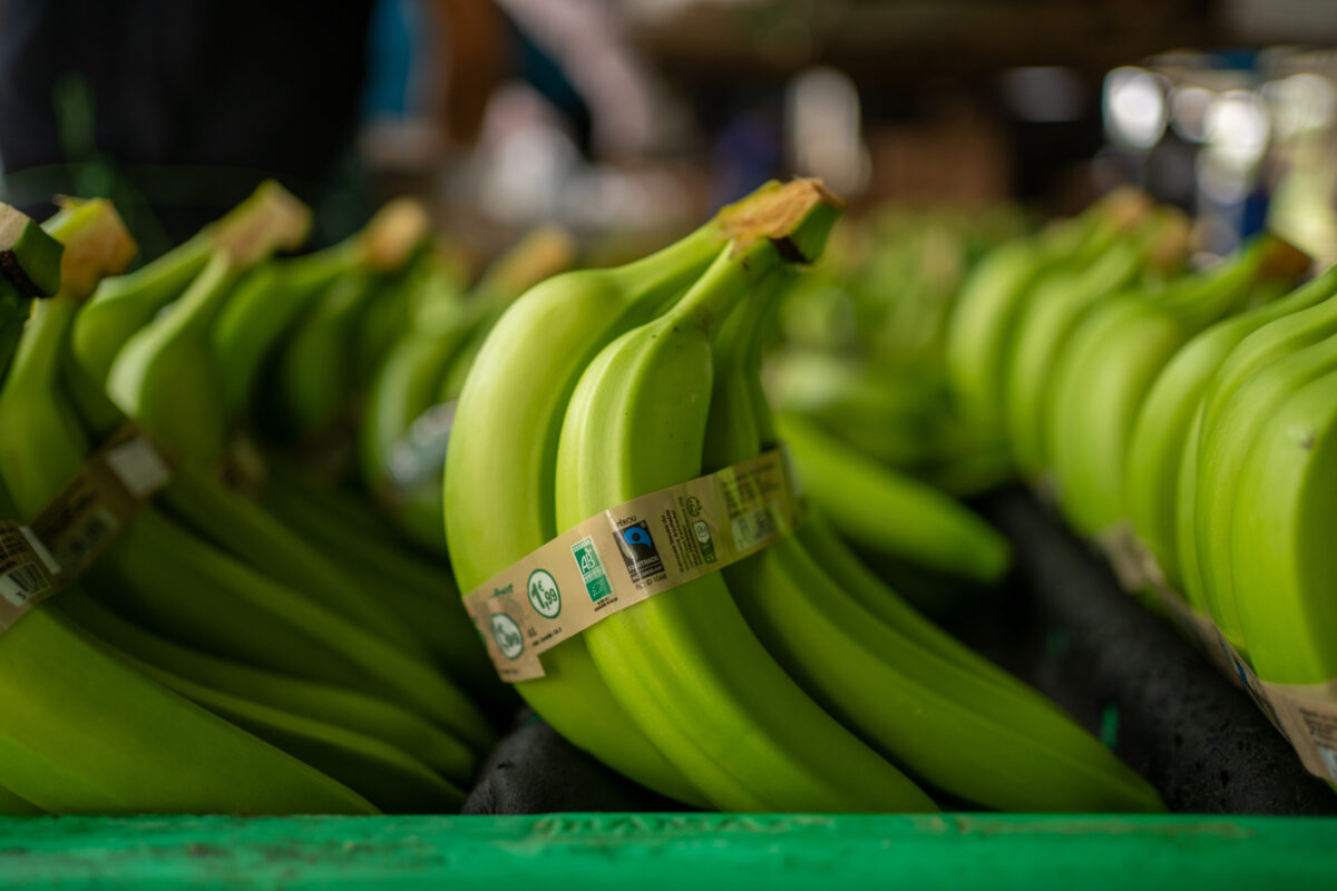Bananer, Fairtrade-mærket bananer