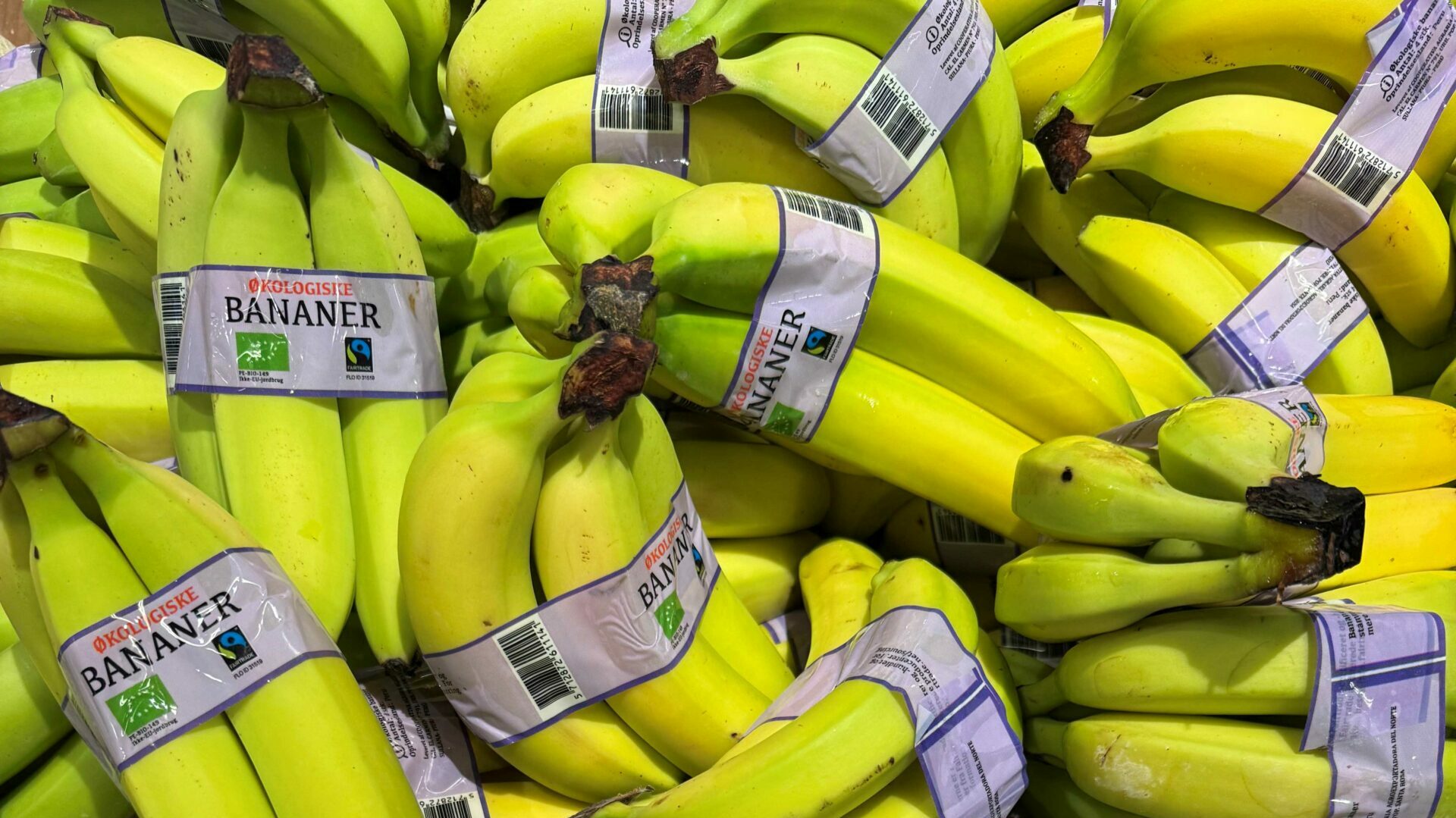 Danskerne spiser 160 mio. bananer med god samvittighed