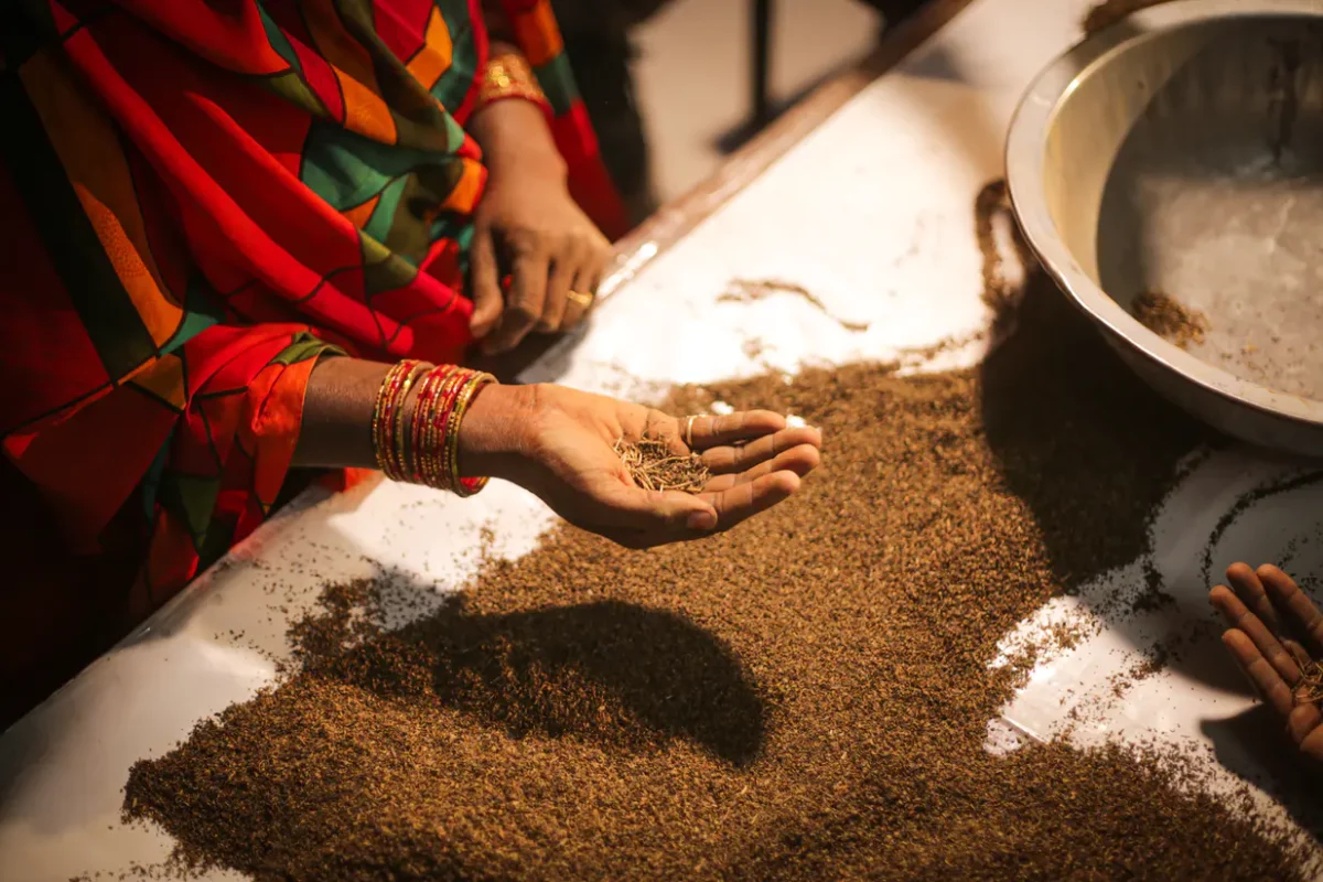 Vanilje, Fairtrade-mærket vanilje