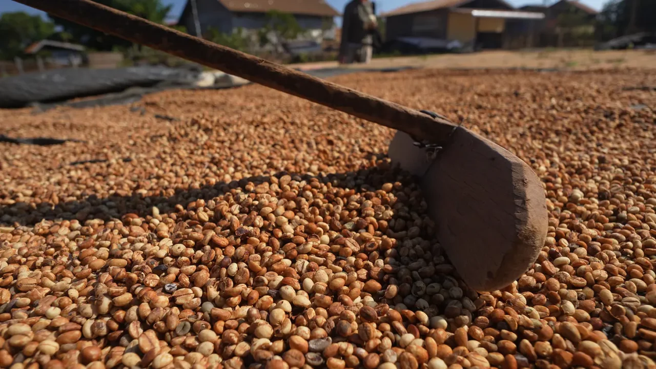 Kaffe, Fairtrade-mærket kaffe